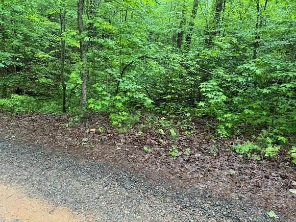 1.3 Acres of Land for Sale in Ellijay, Georgia