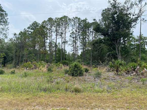0.55 Acres of Residential Land for Sale in Indian Lake Estates, Florida