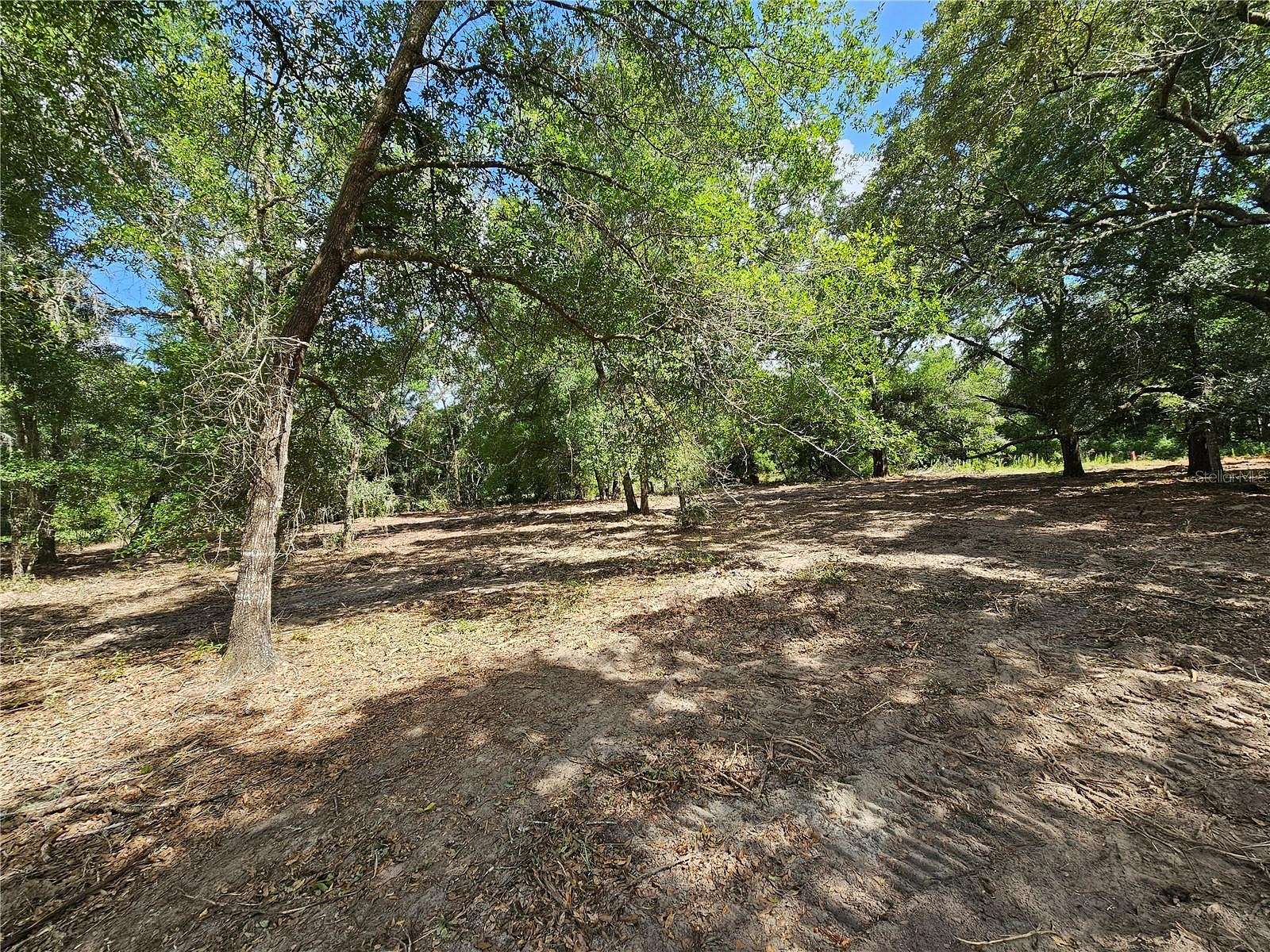 2.02 Acres of Residential Land for Sale in Ocklawaha, Florida