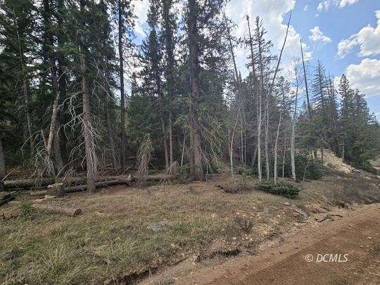 0.5 Acres of Residential Land for Sale in Duck Creek Village, Utah