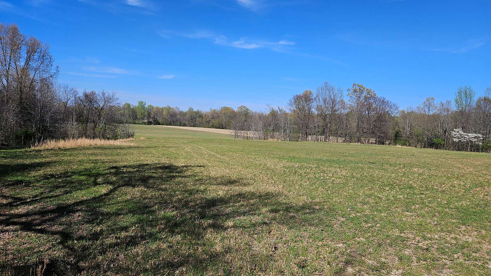 100 Acres of Land with Home for Sale in Rector, Arkansas