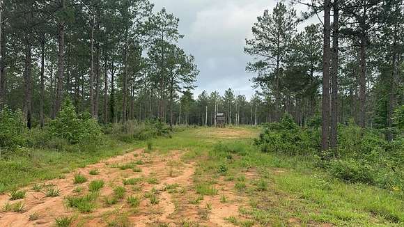 42 Acres of Recreational Land for Sale in Liberty, Mississippi
