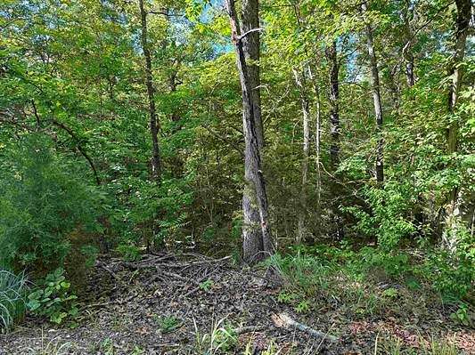 0.25 Acres of Land for Sale in Cherokee Village, Arkansas