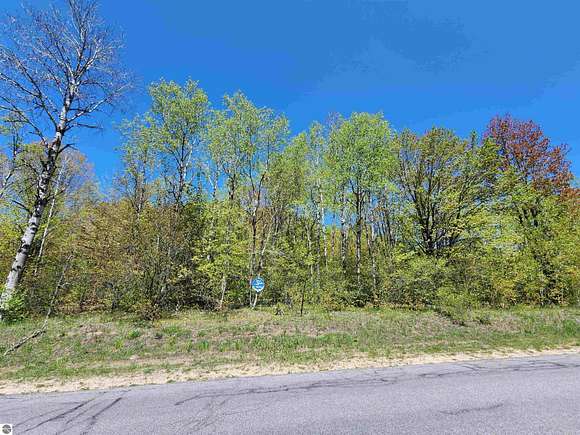 0.58 Acres of Residential Land for Sale in Elmira, Michigan