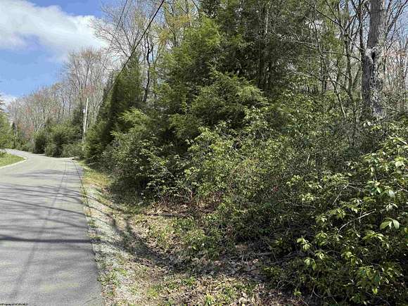 0.33 Acres of Residential Land for Sale in Terra Alta, West Virginia
