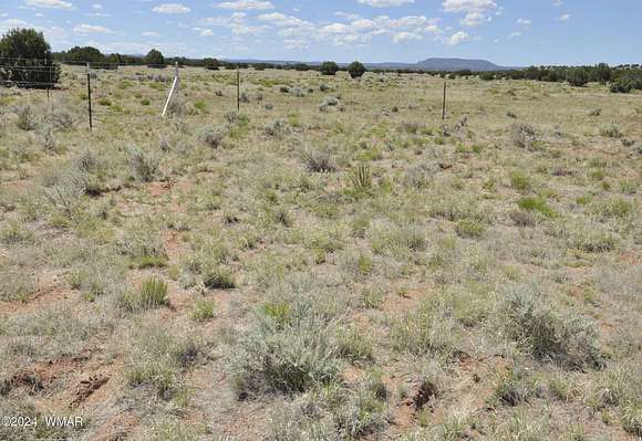 10.6 Acres of Land for Sale in Concho, Arizona