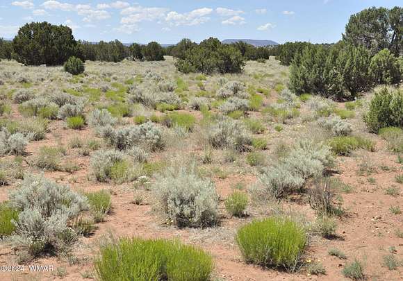 20.73 Acres of Land for Sale in Concho, Arizona