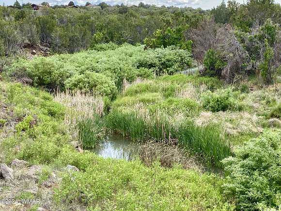 0.24 Acres of Residential Land for Sale in Show Low, Arizona