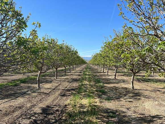 789 Acres of Agricultural Land for Sale in Coalinga, California
