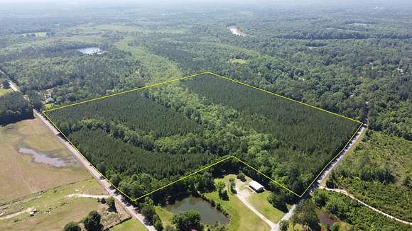 44.4 Acres of Recreational Land & Farm for Sale in Beaumont, Mississippi