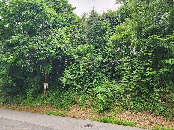 0.22 Acres of Residential Land for Sale in Spartanburg, South Carolina