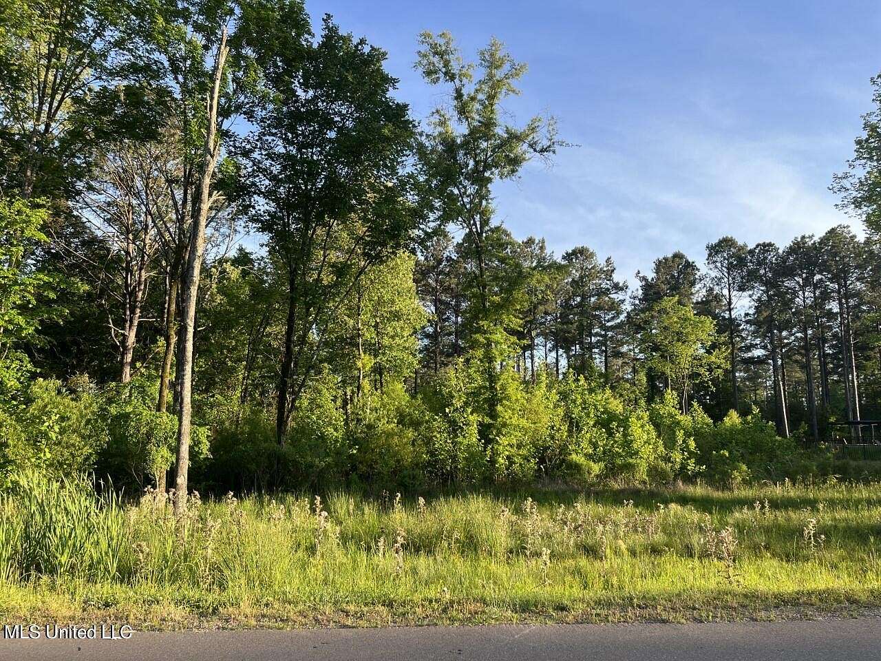 0.67 Acres of Residential Land for Sale in Madison, Mississippi