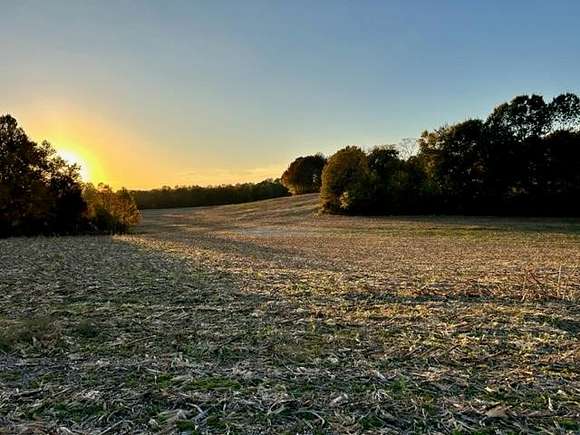 195 Acres of Recreational Land for Sale in Springville, Tennessee