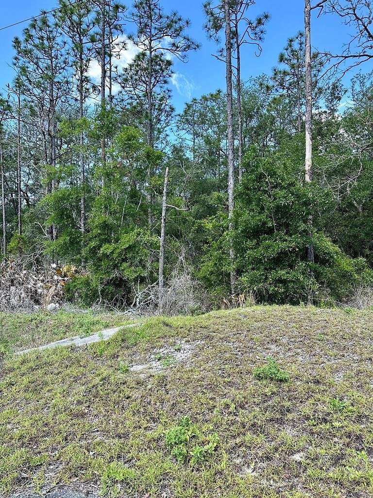 0.5 Acres of Land for Sale in Steinhatchee, Florida