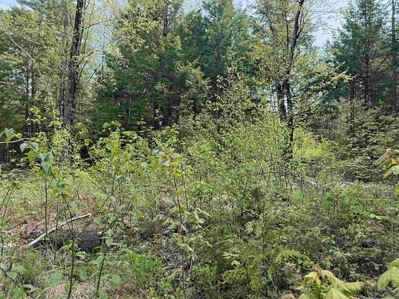 2.4 Acres of Residential Land for Sale in Effingham, New Hampshire
