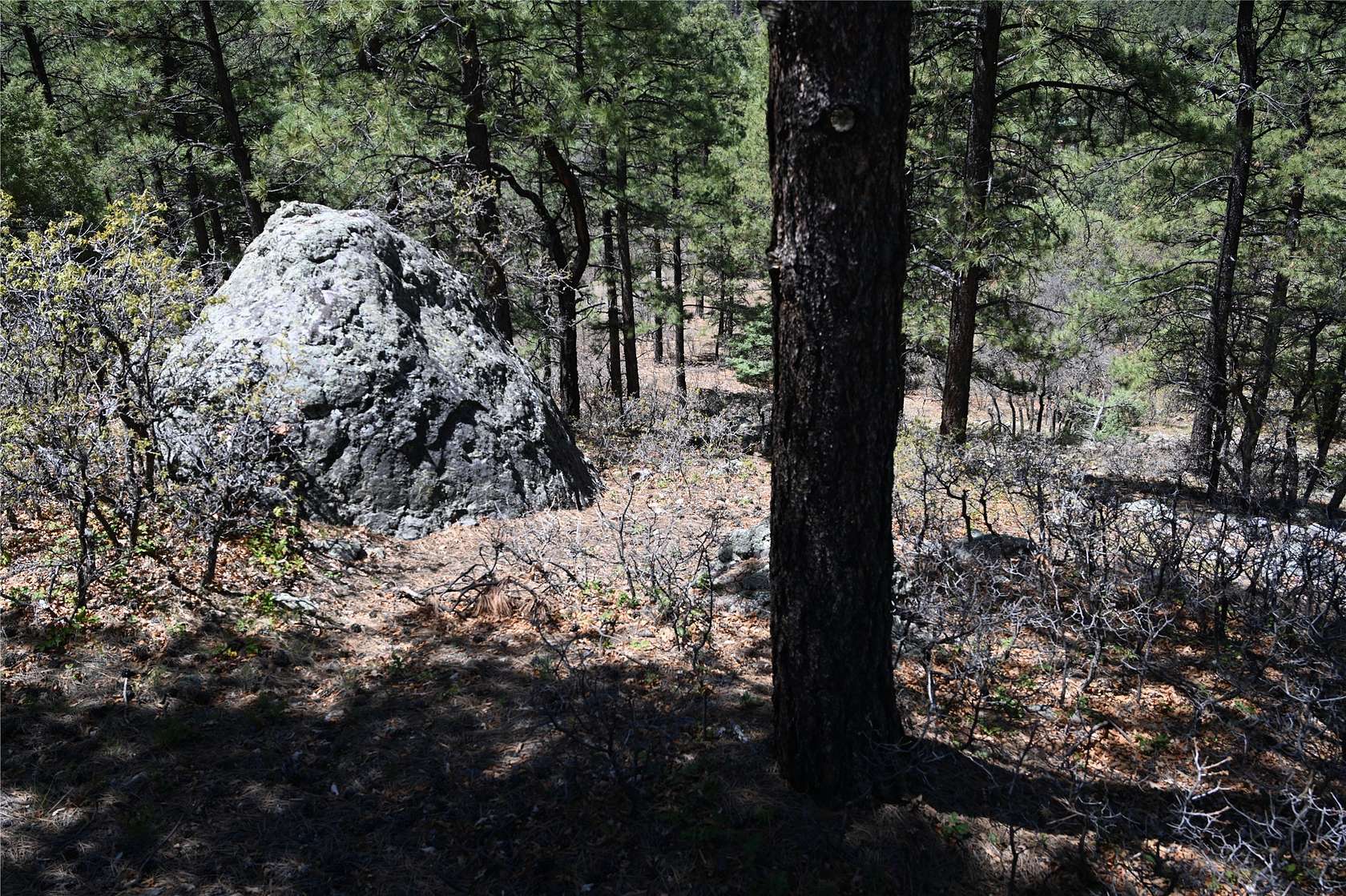 5 Acres of Land for Sale in Chama, New Mexico