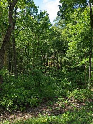 Residential Land for Sale in Murphy, North Carolina