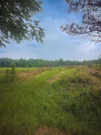 92 Acres of Land for Sale in Vina, Alabama