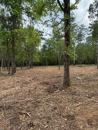 5.7 Acres of Residential Land for Sale in Poplarville, Mississippi