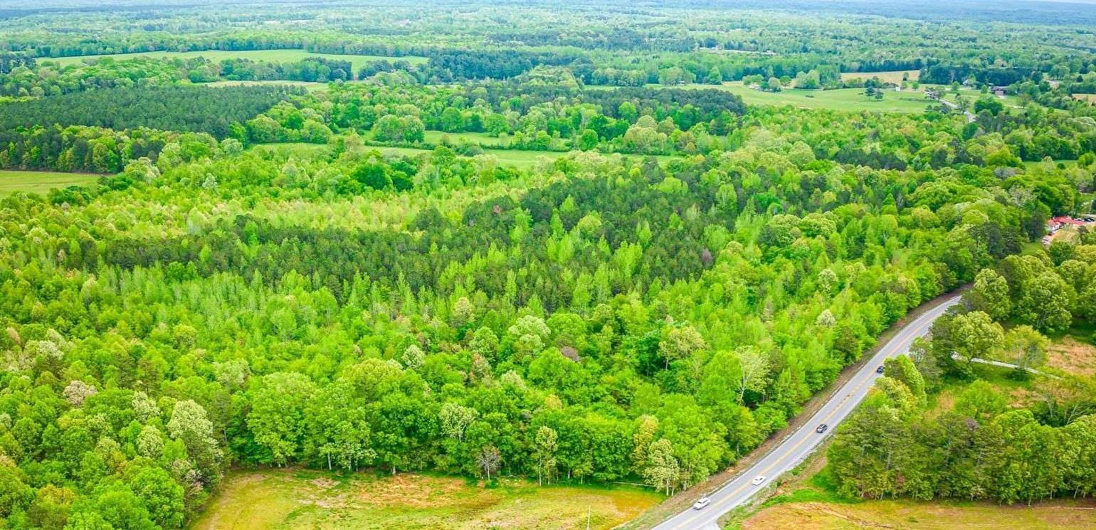 17.9 Acres of Recreational & Residential Land for Sale in Waterloo, Alabama