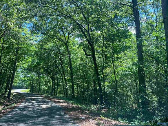 2.9 Acres of Land for Sale in Hokes Bluff, Alabama