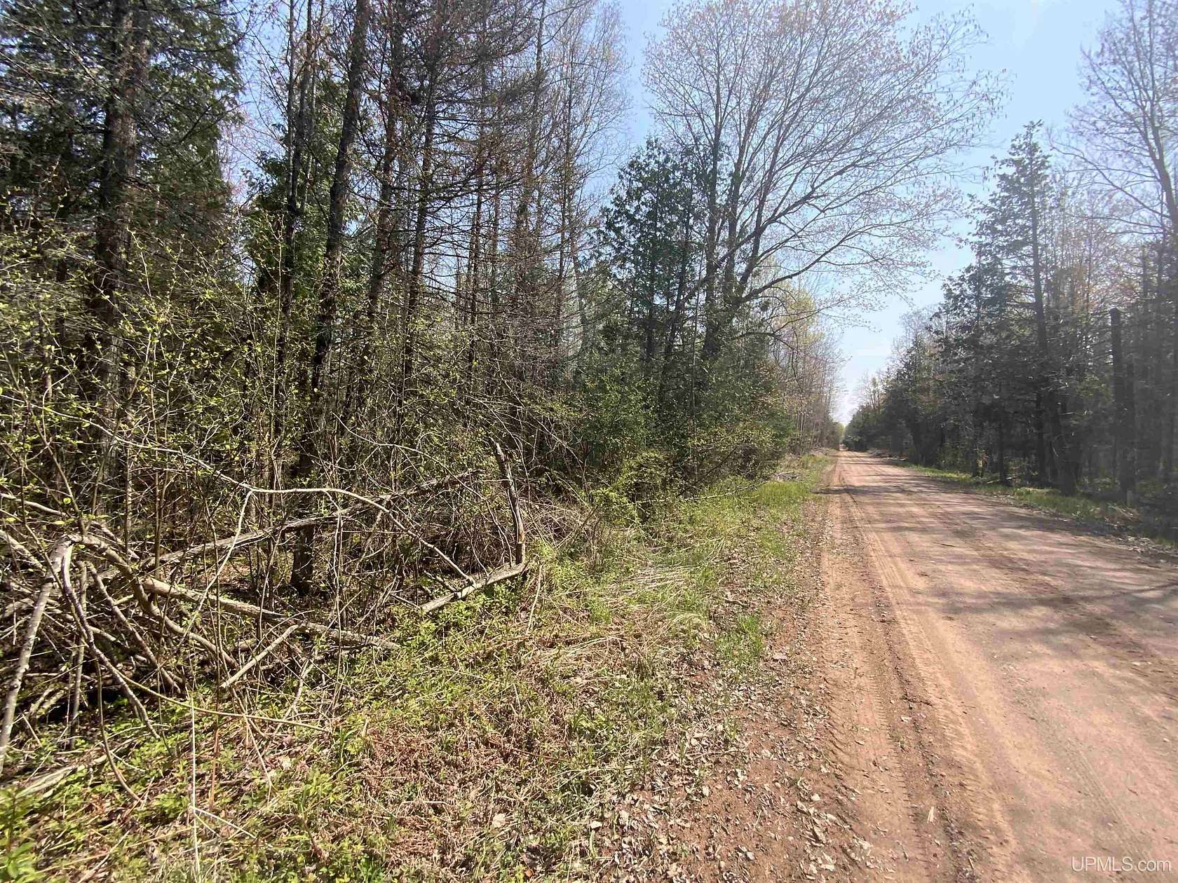 120 Acres of Land for Sale in Rock, Michigan