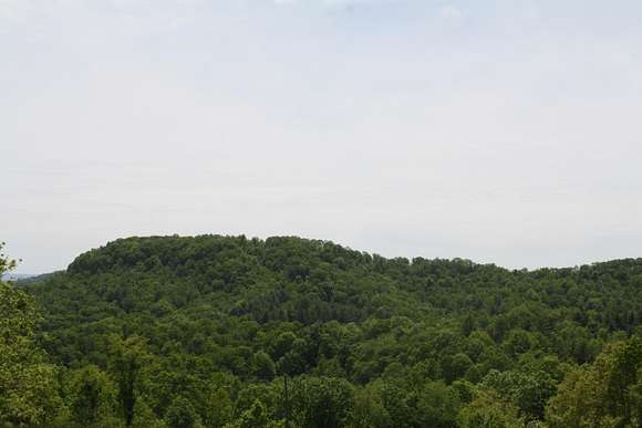 92.2 Acres of Recreational Land for Sale in Jumping Branch, West Virginia