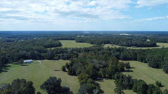 150 Acres of Land for Sale in Reddick, Florida