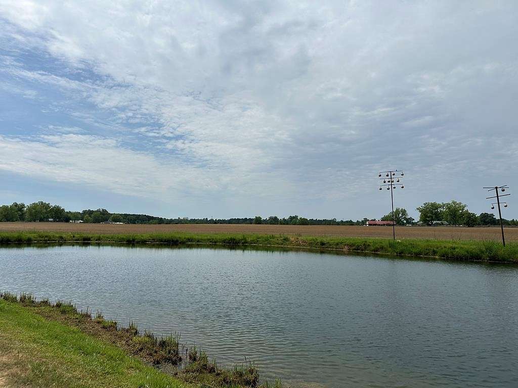 83.92 Acres of Land for Sale in Ashford, Alabama