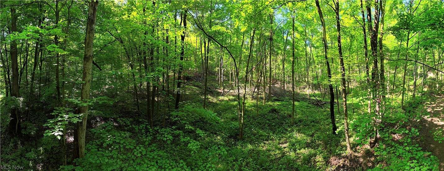 14.8 Acres of Recreational Land for Sale in Danville, Ohio