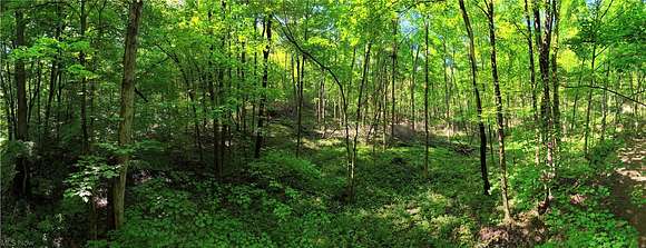 14.8 Acres of Recreational Land for Sale in Danville, Ohio