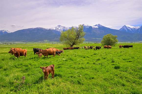 59 Acres of Agricultural Land for Sale in St. Ignatius, Montana