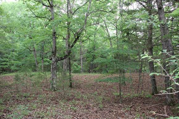 40 Acres of Agricultural Land for Sale in Yellville, Arkansas