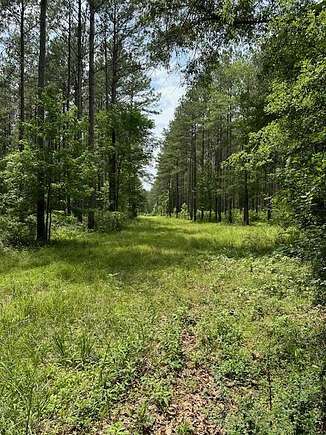 120 Acres of Recreational Land for Sale in Liberty, Mississippi