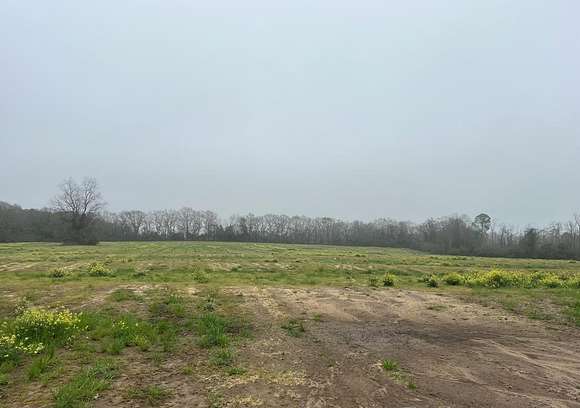 23.8 Acres of Land for Sale in Slocomb, Alabama