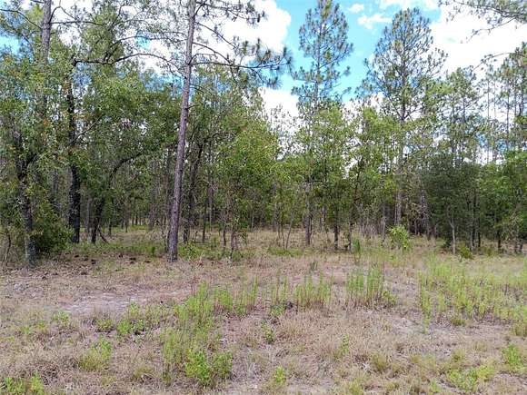 1.04 Acres of Residential Land for Sale in Dunnellon, Florida