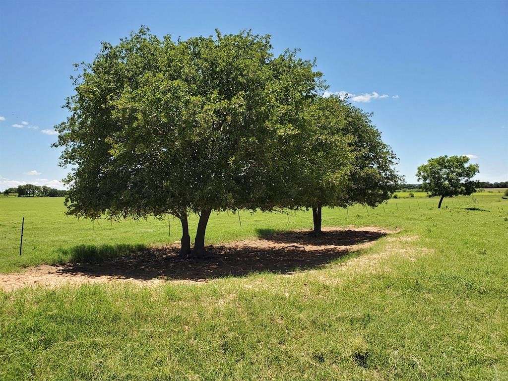 135 Acres of Land for Sale in Comanche, Texas