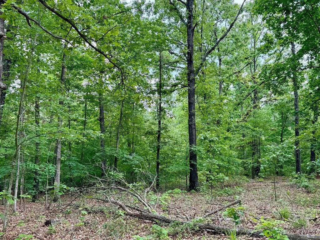 20 Acres of Recreational Land for Sale in Washburn, Missouri
