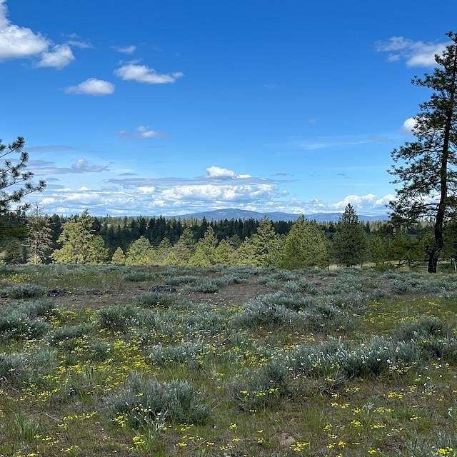 3.1 Acres of Residential Land for Sale in Davenport, Washington