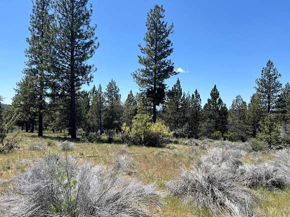 1.7 Acres of Residential Land for Sale in Bonanza, Oregon