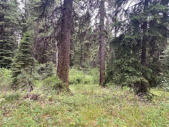 0.31 Acres of Land for Sale in McCall, Idaho