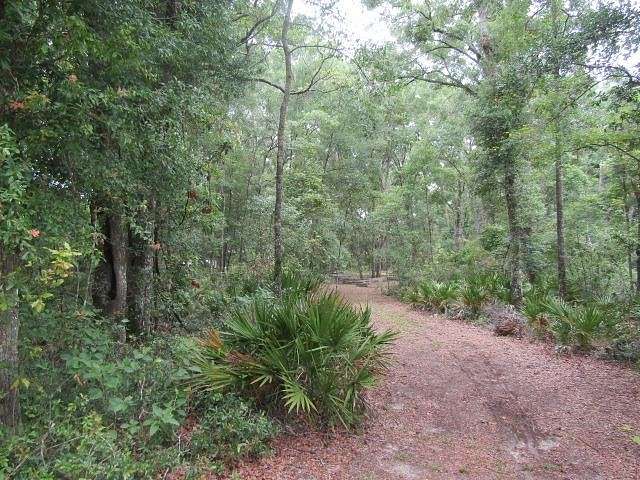 2 Acres of Land for Sale in Old Town, Florida