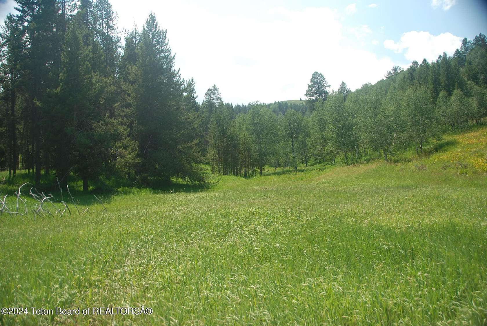 4 Acres of Land for Sale in Wilson, Wyoming