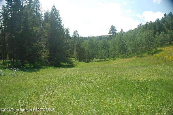 4 Acres of Land for Sale in Wilson, Wyoming