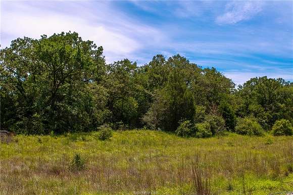 50 Acres of Recreational Land for Sale in Marquez, Texas - LandSearch