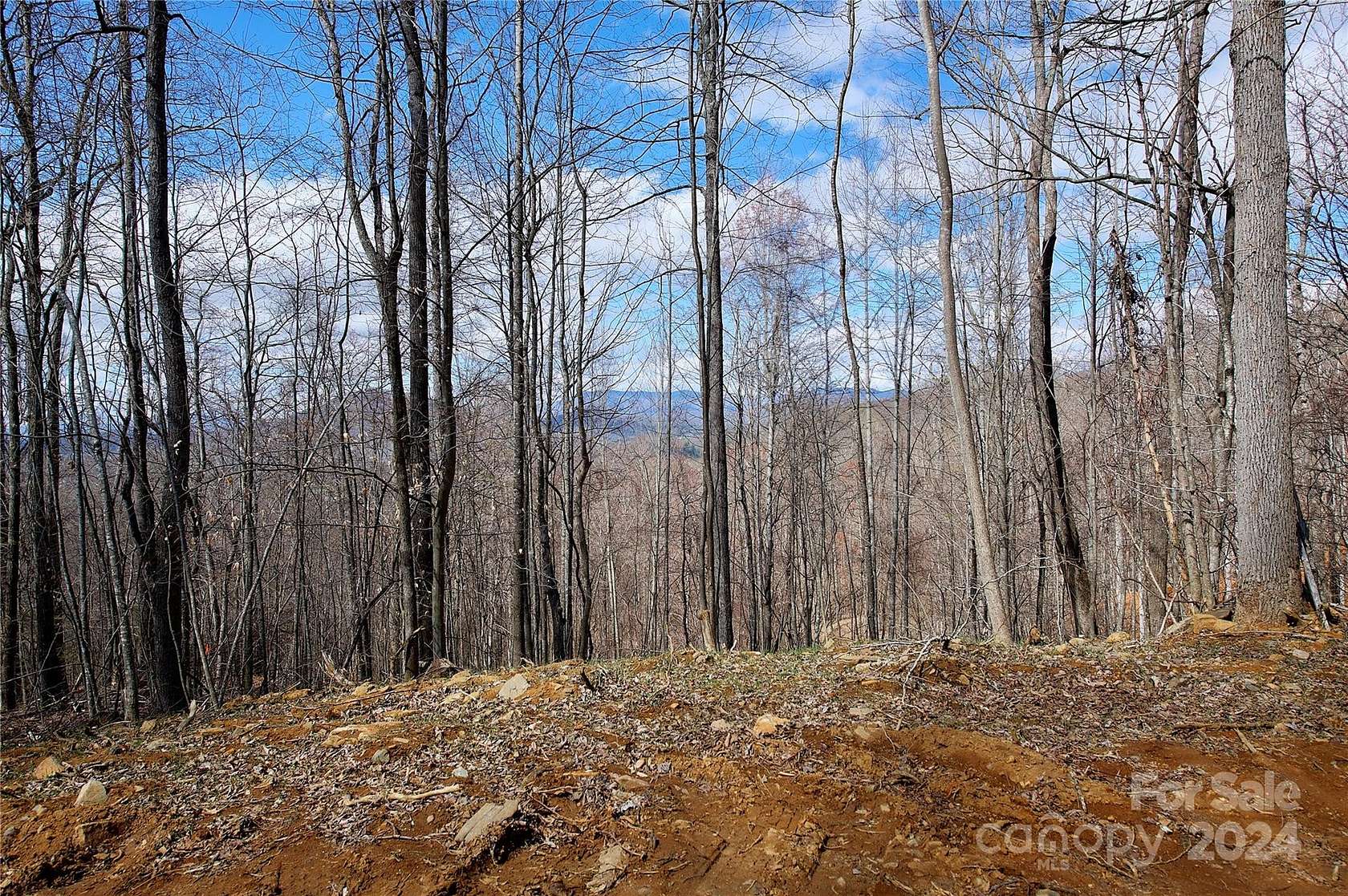 4.7 Acres of Land for Sale in Spruce Pine, North Carolina