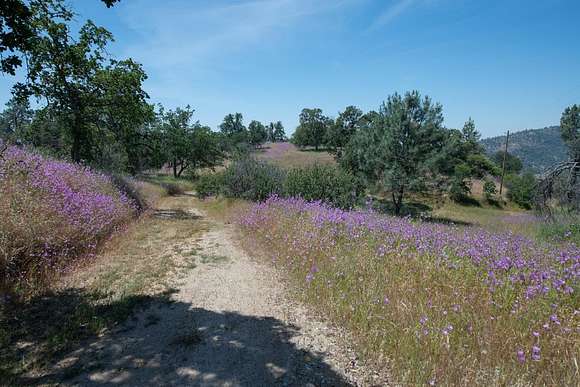 15.6 Acres of Land for Sale in Prather, California