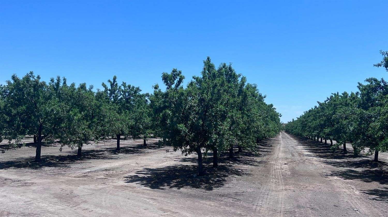 19.2 Acres of Land with Home for Sale in Madera, California