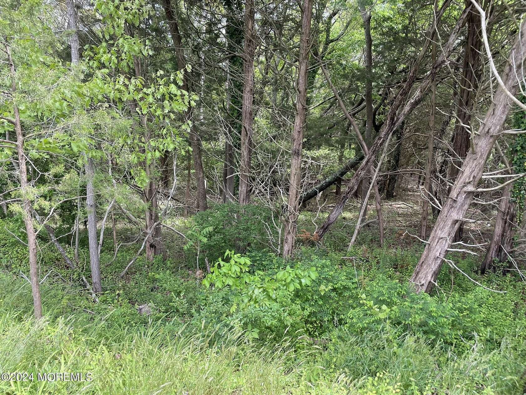 0.52 Acres of Commercial Land for Sale in Little Egg Harbor Township, New Jersey