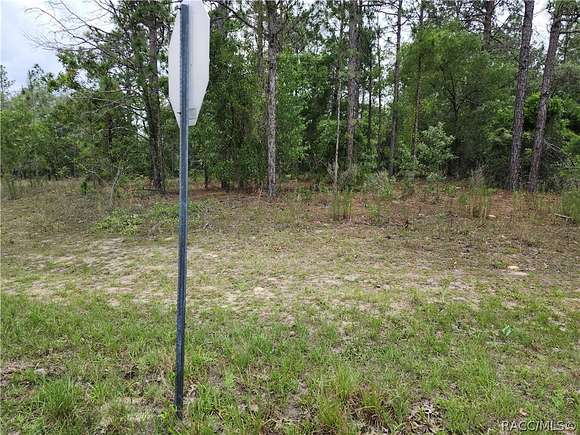 0.29 Acres of Residential Land for Sale in Citrus Springs, Florida